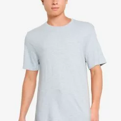 Banana Republic Logo Softwash Organic Tee